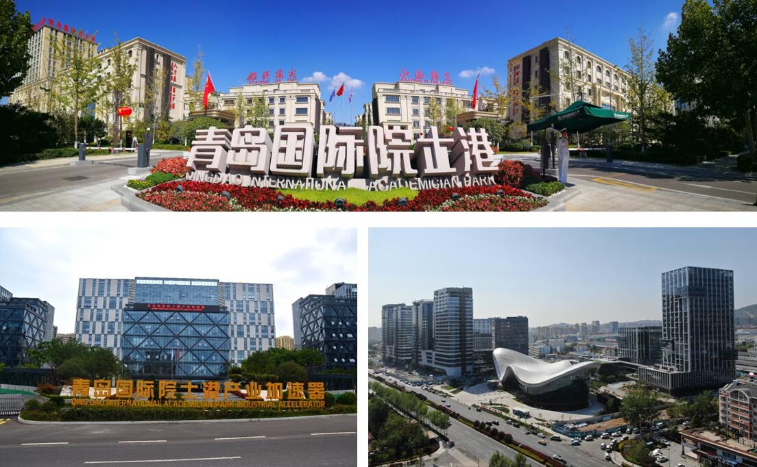 1606377695247918.jpg 8.jpg