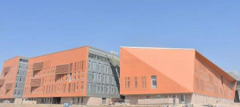 1606378493216563.jpg 22.jpg